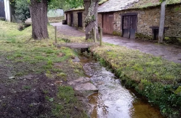 Val do Frade | Vinos de viñedos propios