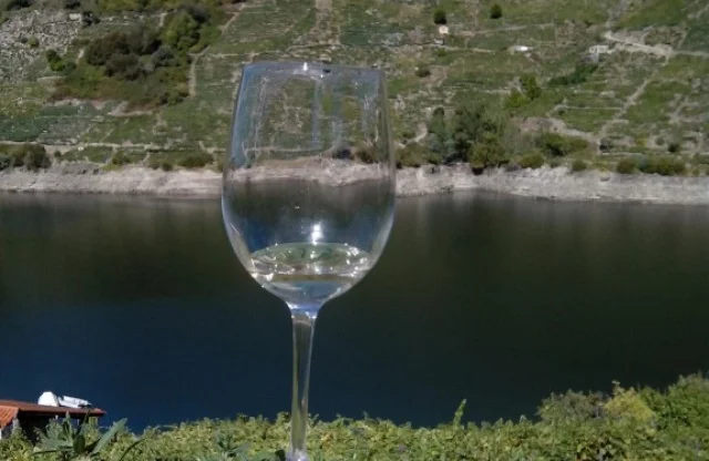 Visita copa en mano en Ribeira Sacra | Degustación directa