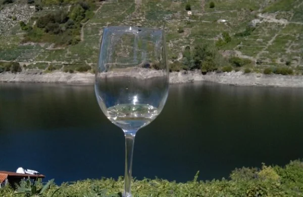 Visita copa en mano en Ribeira Sacra | Degustación directa