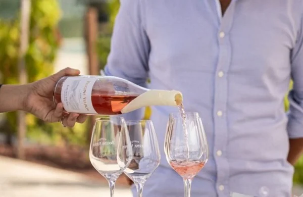 Regina Viarum | Vinos de Amandi con vistas al Sil