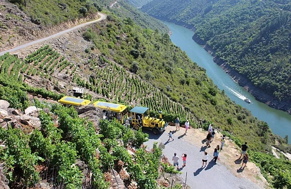 Sumérgete en los Cañones del Sil | Paseo entre viñedos