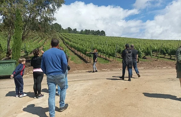 D'Berna | Tradición familiar vitivinícola