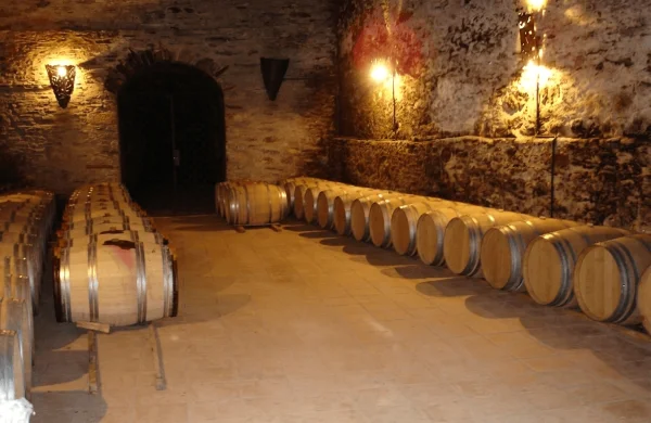 Joaquín Rebolledo | Pioneros del godello