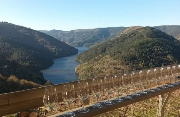 Abadía da Cova | Bodega histórica en Ribeira Sacra
