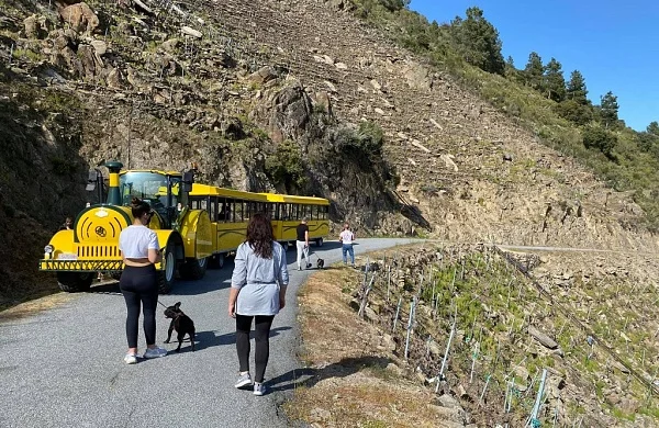 Tren enoturístico en Ribeira Sacra | Recorrido por los Cañones del Sil