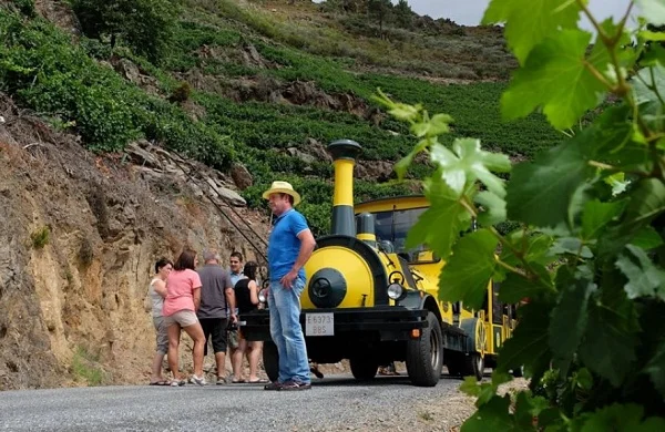 Tren enoturístico en Ribeira Sacra | Recorrido por los Cañones del Sil