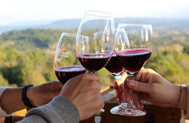 Cata a ciegas | Juego sensorial con vino