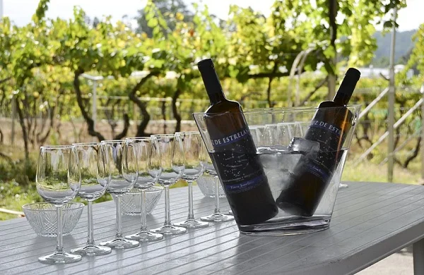 Luz de Estrelas | Vino blanco de autor