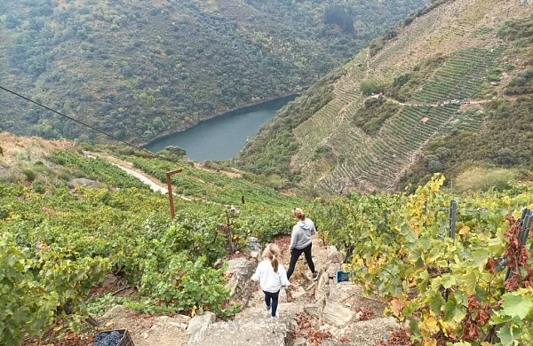 Petrón | Bodega de nueva generación