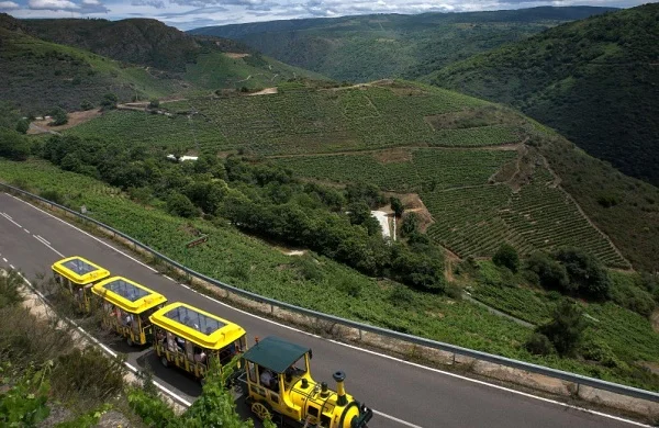 Tren enoturístico en Ribeira Sacra | Recorrido por los Cañones del Sil