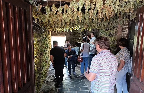 Bodega Vella | Bodega familiar tradicional