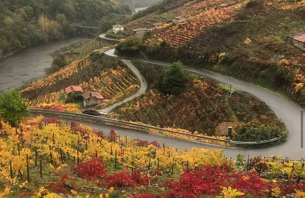 Pilares de Belesar | Bodega familiar en Ribeira Sacra