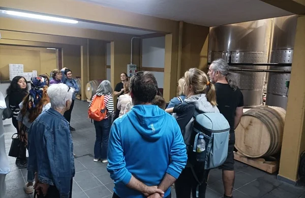 Petrón | Bodega de nueva generación