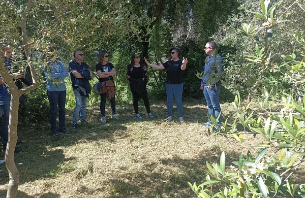 Val de Quiroga | Bodega familiar referente