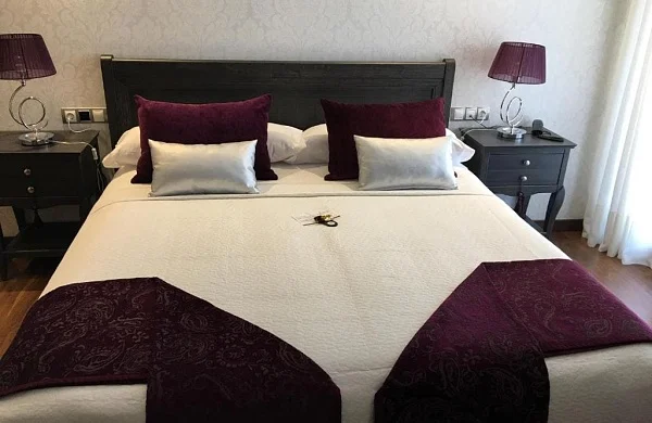 Hotel Calzada | Hotel moderno y funcional