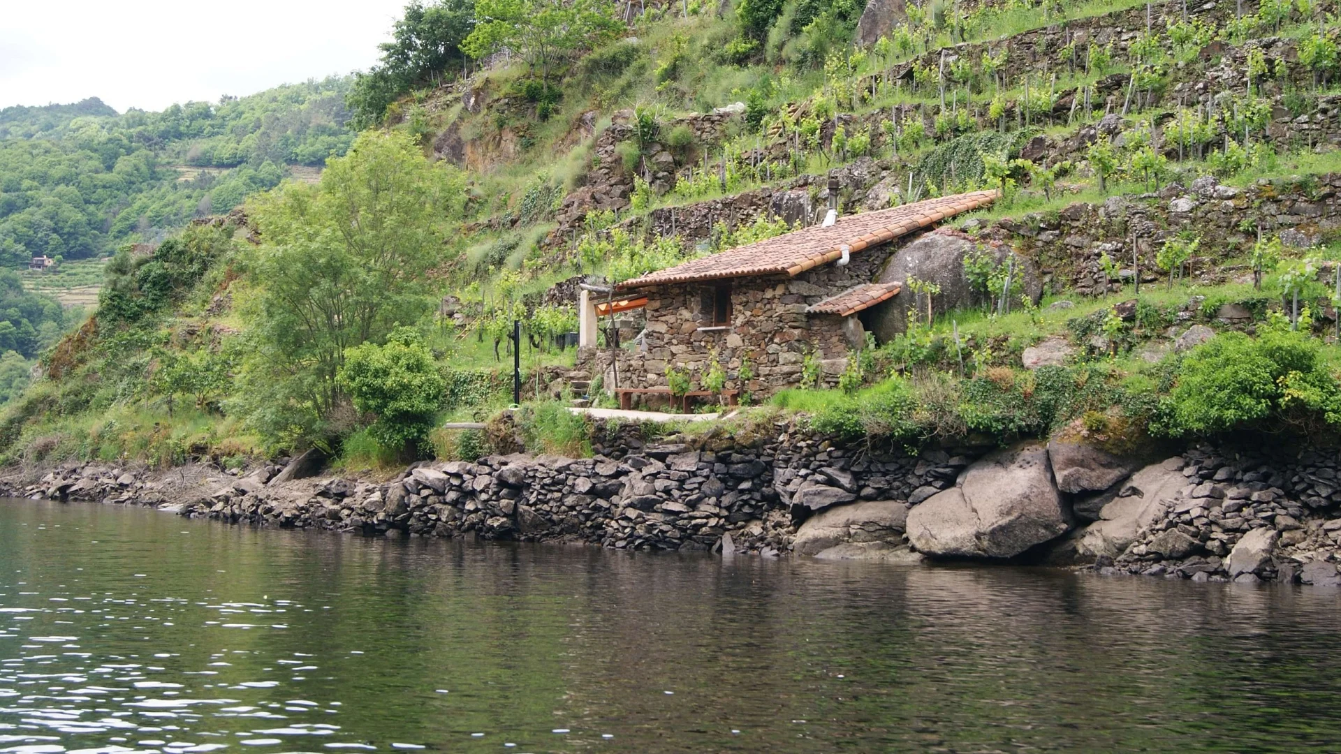 Enoturismo Galicia: Tradición, Calidad y Sabor de Nuestra Tierra