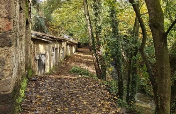 Alan de Val | Bodega artesanal familiar