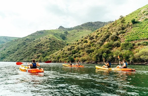 Vive Ribeira Sacra | Experiencia enoturística completa