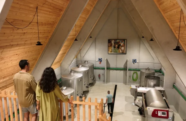 María Manuela | Albariño de finca