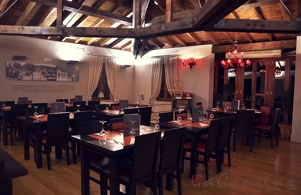 Sumérgete en los Cañones del Sil | Paseo entre viñedos