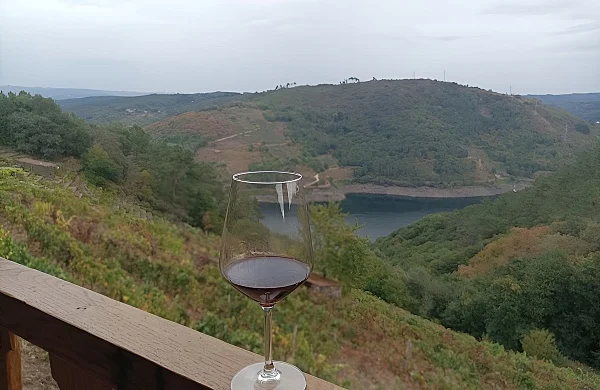 Cata de vinos en bodegas del Ribeiro | Vinos blancos y tradición