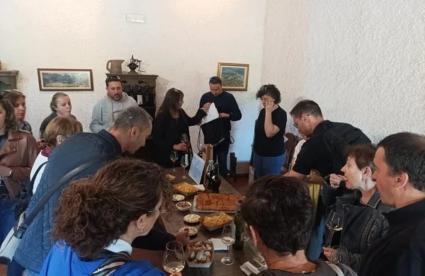 Val de Quiroga | Bodega familiar referente