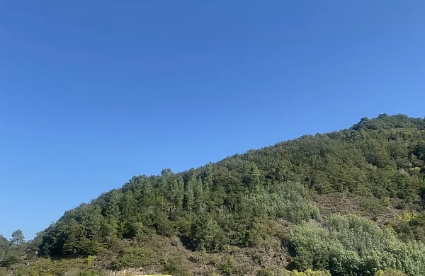 Alquiler de barco en Ribeira Sacra | Experiencia sin titulación Alquiler de barco en Ribeira Sacra | Experiencia sin titulación