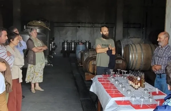 Envi…nagrate | Entre vinagres y vinos del Ribeiro