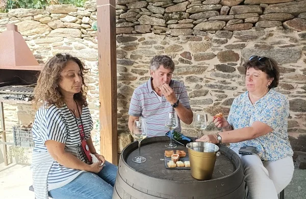 Vive Ribeira Sacra | Experiencia enoturística completa