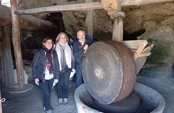 Un día entre olivos | Oleoturismo en Ribeira Sacra Un día entre olivos | Oleoturismo en Ribeira Sacra