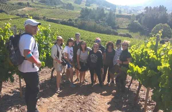 Paseo entre viñedos en Valdeorras | Naturaleza y vino