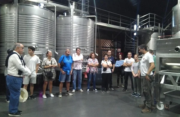 Visita copa en mano en Ribeira Sacra | Degustación directa