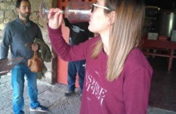 Visita copa en mano en Ribeira Sacra | Degustación directa