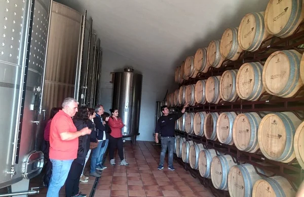 Degustación vegana y aperitivo de autor | Experiencia gastronómica