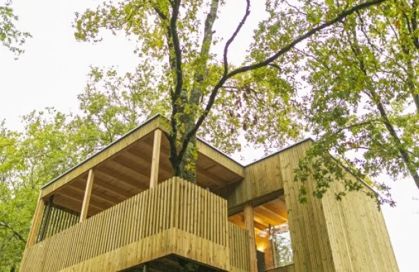 Enoturismo María Manuela | Cabañas entre viñedos