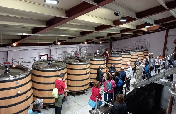 Abadía da Cova | Bodega histórica en Ribeira Sacra