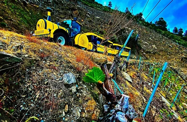 Tren enoturístico en Ribeira Sacra | Recorrido por los Cañones del Sil