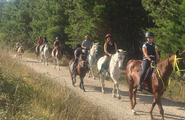 Rutas a caballo en Ribeira Sacra | Naturaleza y senderos