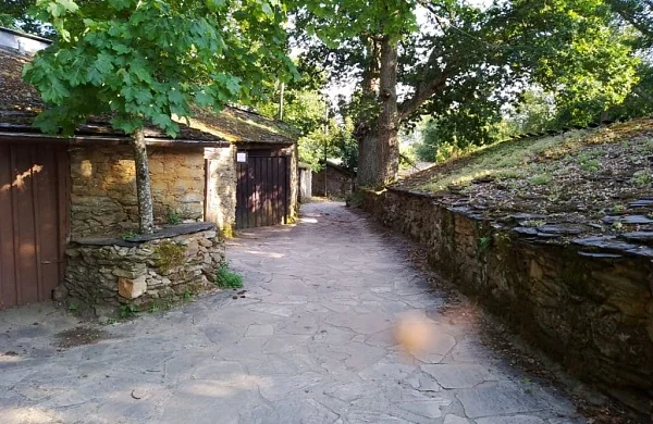 Val do Frade | Vinos de viñedos propios