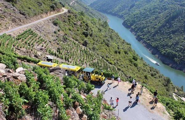 Tren enoturístico en Ribeira Sacra | Recorrido por los Cañones del Sil