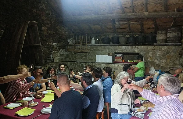 Enoavénturate en Ribeira Sacra | Aventura entre viñedos