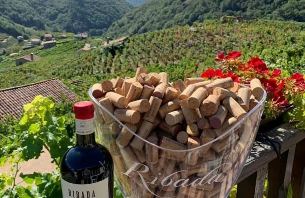 Ribada | Tradición vinícola en Chantada