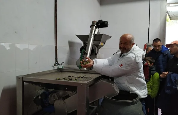 Oleoturismo en Ribeira Sacra | Aceite y tradición