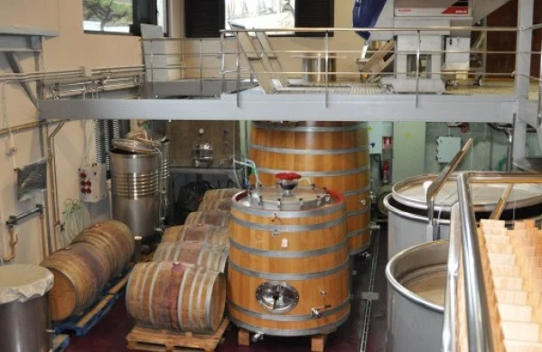 Ronsel do Sil | Viñedos en laderas del Sil