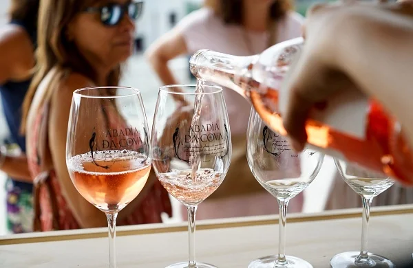 Cata de vinos en bodegas de Ribeira Sacra | Degustación guiada