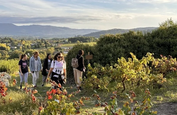 Escape room entre viñedos | Experiencia al aire libre