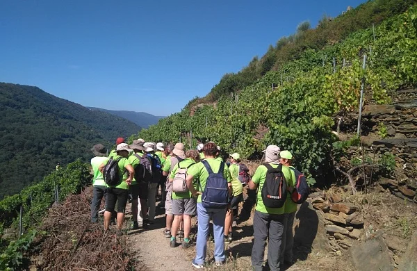 Senderismo en Ribeira Sacra | Rutas por la naturaleza