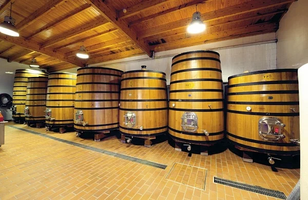 Abadía da Cova | Bodega histórica en Ribeira Sacra
