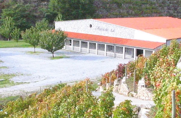 Amedo | Tradición vitivinícola familiar