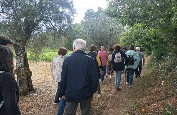 Val de Quiroga | Bodega familiar referente